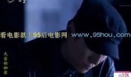 在线观看秘密,揭秘在线观看秘密的真相与技巧