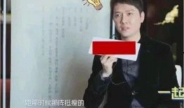 媒体新闻爆料明星是谁,神秘明星身份揭晓，究竟是谁引发热议？