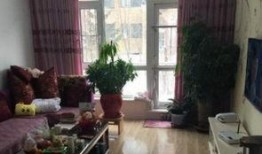 长春租房最新爆料,揭秘热门区域价格走势与热门房源推荐