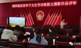 江安县新闻爆料电话,揭秘江安最新动态，一键掌握民生资讯！