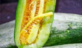 网红各种吃瓜网站,娱乐圈幕后真相大曝光