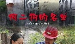 何二狗的名单在线观看,在线观看背后的故事与真相