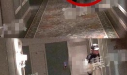 网友爆料张丹峰经纪人视频,揭秘娱乐圈背后的真相