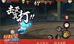 最新198忍者爆料,揭秘神秘组织内幕与惊人真相