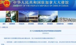 媒体爆料深圳新闻视频,媒体爆料最新动态，揭秘城市热点事件