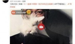 爆料男子出轨事件视频大全,男子出轨事件视频大全盘点