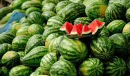 快手哪个网红吃瓜,揭秘快手网红吃瓜达人背后的故事