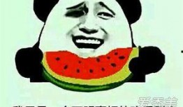 网红吃瓜吃瓜什么意思,揭秘网络热议背后的真相与娱乐
