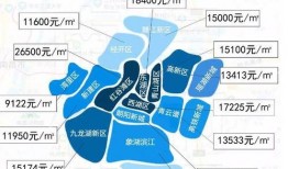 西安网红五哥最新爆料,揭秘网红圈幕后真相