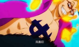 航海王小马哥爆料视频,独家爆料视频内容大起底