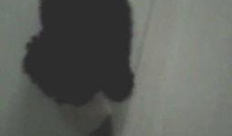 枕头老哥最新爆料,揭秘娱乐圈最新热点事件