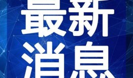 杨帆微博爆料视频大全最新,揭秘娱乐圈幕后真相