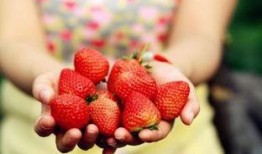 深圳小仙女爆料草莓视频,草莓视频背后的秘密