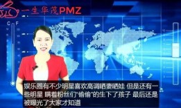 媒体新闻爆料明星是谁,神秘明星身份揭晓，究竟是谁引发热议？