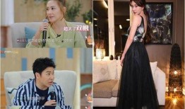 娱乐大爆料应采儿视频,娱乐大爆料背后的真实故事