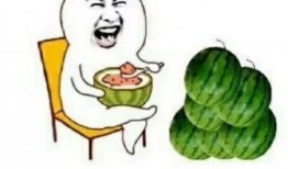 娱乐吃瓜是什么意思,网络热词背后的文化现象