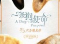 吃瓜小狗小说免费阅读无弹窗,免费无弹窗小说，揭秘娱乐圈幕后风云
