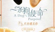 吃瓜小狗小说免费阅读无弹窗,免费无弹窗小说，揭秘娱乐圈幕后风云
