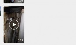 网友爆料惊现猴子视频,猴子视频引发热议，神秘事件背后真相揭晓