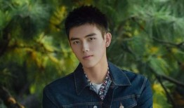 娱乐大爆料陈飞宇,揭秘明星背后的故事