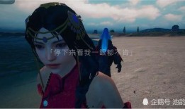 赵灵儿和平精英爆料视频,揭秘游戏新内容与精彩瞬间