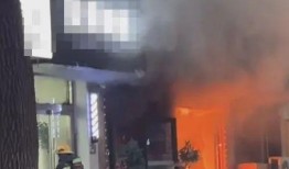 泰州饭店爆料事件视频播放,事件真相与公众关注