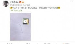 不求人微博最新爆料,揭秘娱乐圈惊人内幕！”