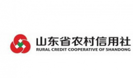 山东农村信用社最新爆料,揭秘农村金融改革新动向