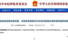 湖北省违法违纪新闻爆料,曝光典型案例，净化政治生态