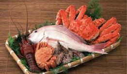 小厨娘美食记吃瓜爆料视频,揭秘网红美食背后的秘密，吃瓜群众纷纷围观