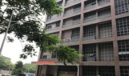 洋米高在线观看,揭秘热门剧集背后的精彩故事