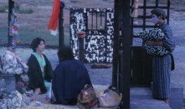 死者田园祭在线观看,一场跨越生死的奇幻之旅