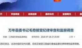 湖北省违法违纪新闻爆料,曝光典型案例，净化政治生态