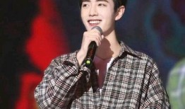 刘大锤最新爆料肖战,肖战最新动态揭秘