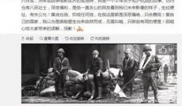 福州娱乐圈爆料事件始末,真相与反转的曲折历程