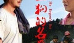 何二狗的名单在线观看,在线观看背后的故事与真相