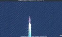 星图爆料最新,最新明星动态大起底