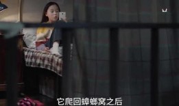 学姐的爆料全集观看视频,揭秘校园风云背后的真相