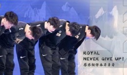 建哥爆料视频大全集在线观看,视频大全集在线观看精彩瞬间回顾