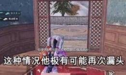 赵灵儿和平精英爆料视频,揭秘游戏新内容与精彩瞬间