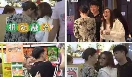 爆料出轨渣男视频大全集,视频大全集深度剖析