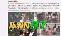 天涯爆料任嘉纶视频,任嘉纶视频引发热议，真相究竟如何？