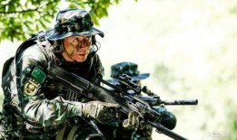 猎豹突击全集在线观看,热血征程，铁血豪情