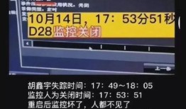 中华新闻爆料电话多少,一通电话，揭开真相面纱”