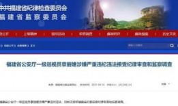 湖北省违法违纪新闻爆料,曝光典型案例，净化政治生态