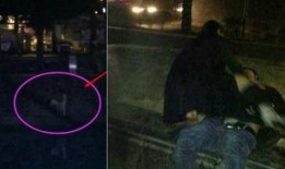 男女激情视频在线观看,揭秘男女激情视频背后的故事