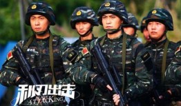 猎豹突击全集在线观看,热血征程，铁血豪情