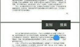 娱乐圈pdf吃瓜,揭秘明星幕后故事与八卦传闻
