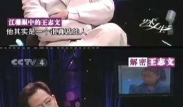 娱乐吃瓜君被告视频,真相与争议全解析