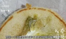 网友爆料汉堡包视频,揭秘食品制作全过程